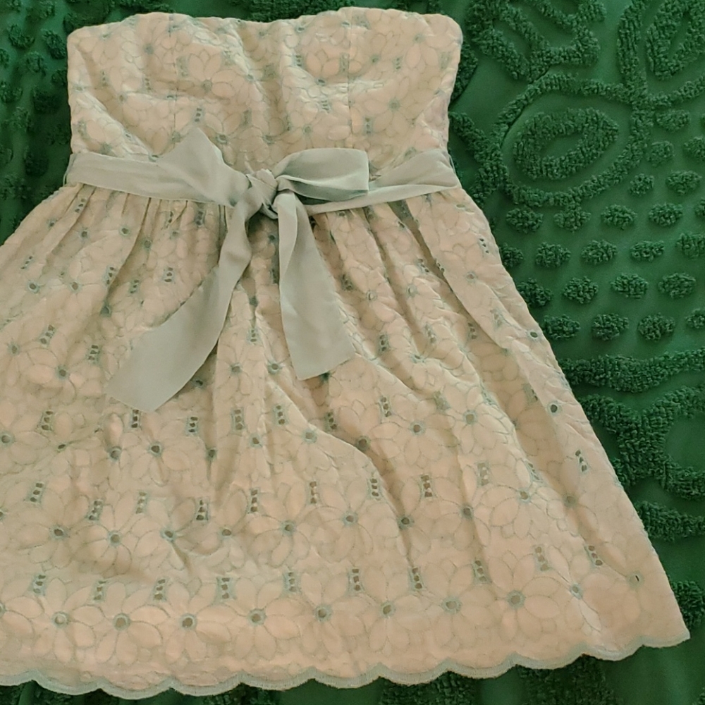Francesca's Dress